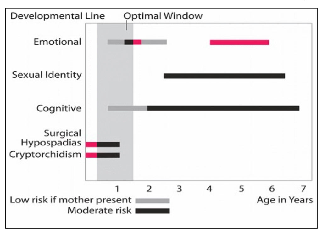 Risk assessment hypospadias