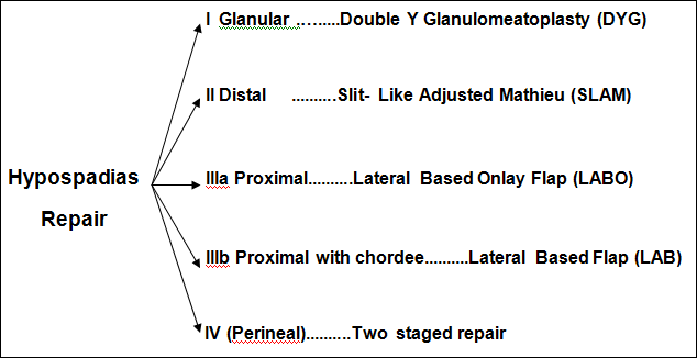 Recommendations for hypospadias repair