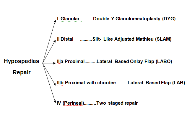 Hadidi Hypospadias Techniques